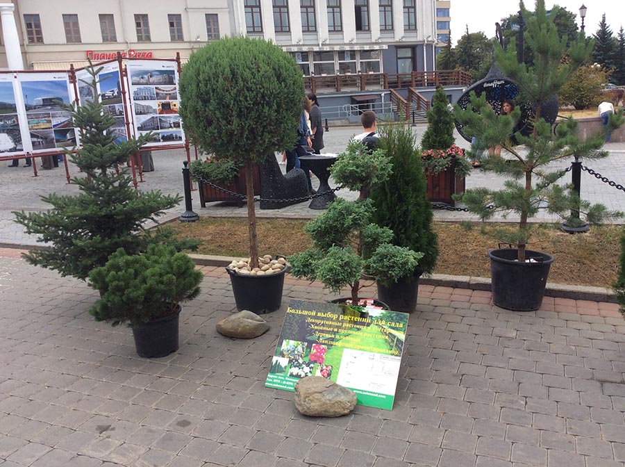 green-on-9-arch-fest-minsk.jpg